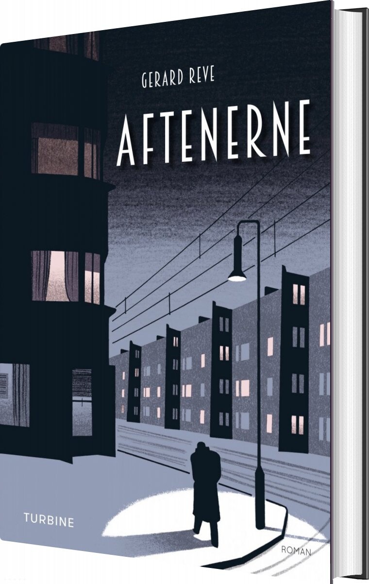 Aftenerne   Gerard Reve   Bog
