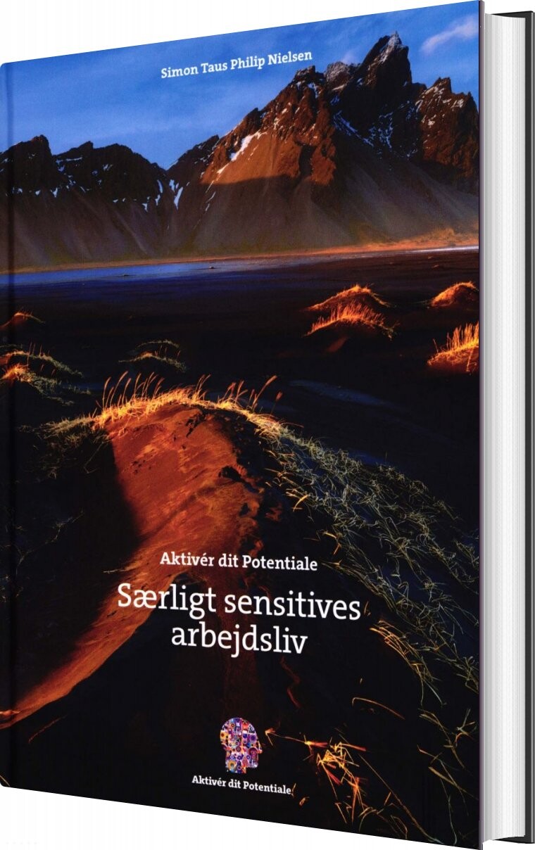 Aktiver Dit Potentiale   Simon Taus Philip Nielsen   Bog