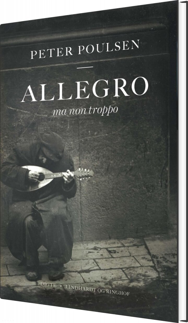 Allegro Ma Non Troppo   Peter Poulsen   Bog