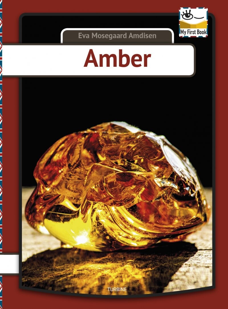 Amber   Eva Mosegaard Amdisen   English Book