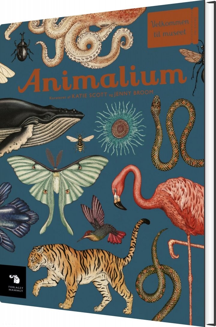 Animalium   Katie Scott   Bog