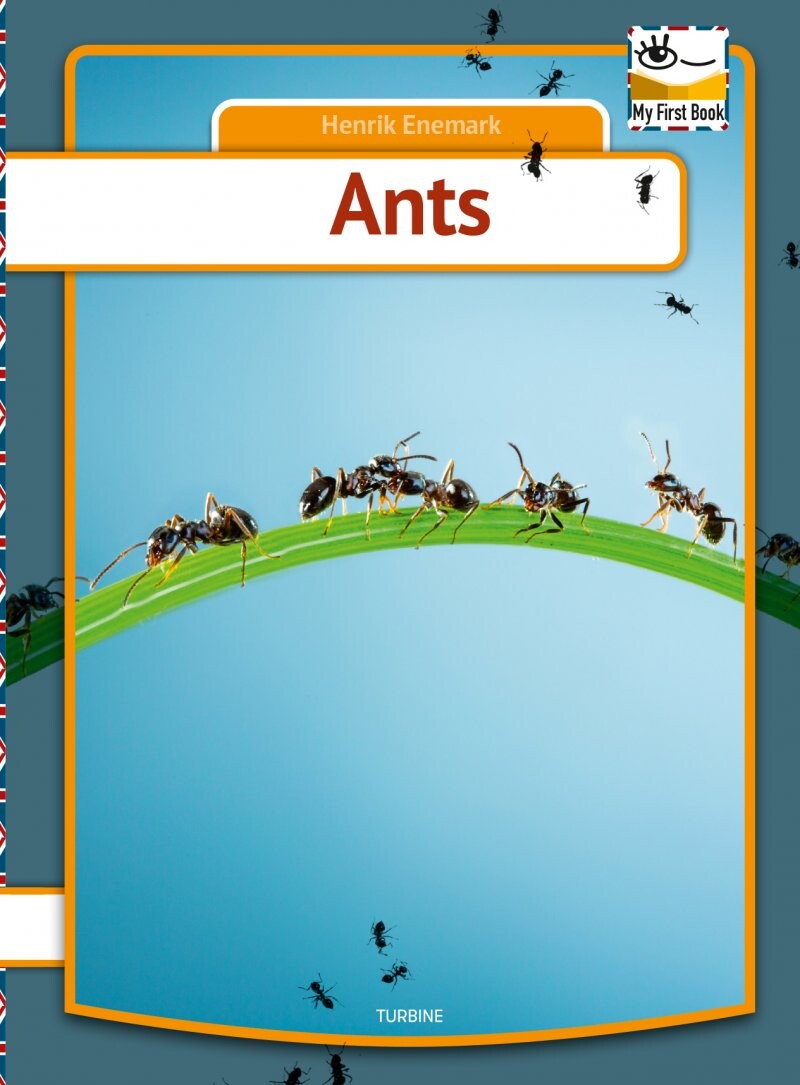 Ants   Henrik Enemark   English Book