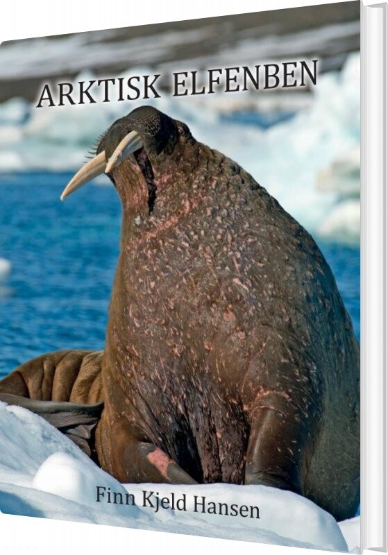 Arktisk Elfenben Finn Kjeld Hansen Bog
