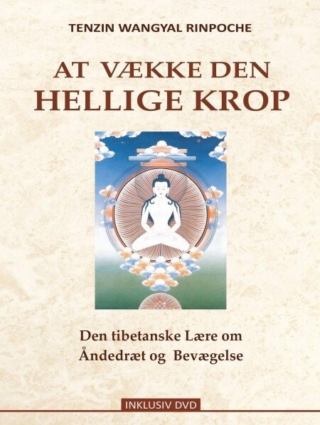 At Vække Den Hellige Krop   Tenzin Wangyal Rinpoche   Bog