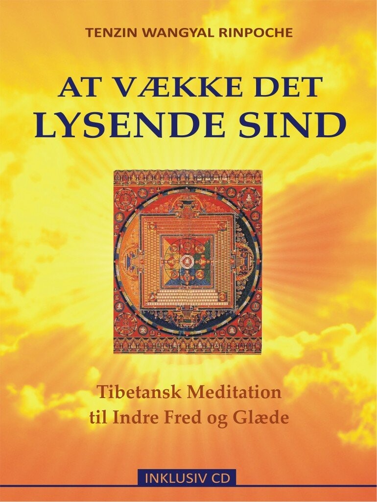 At Vække Det Lysende Sind   Tenzin Wangyal Rinpoche   Bog