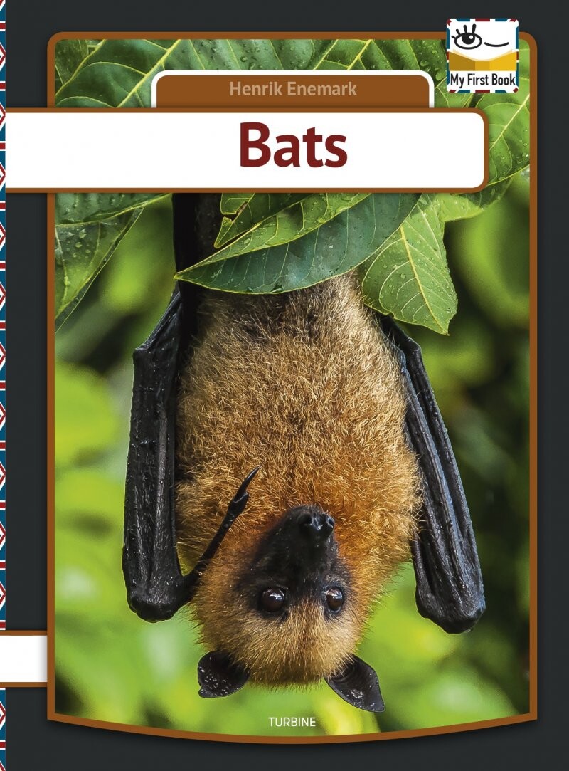 Bats   Henrik Enemark   English Book