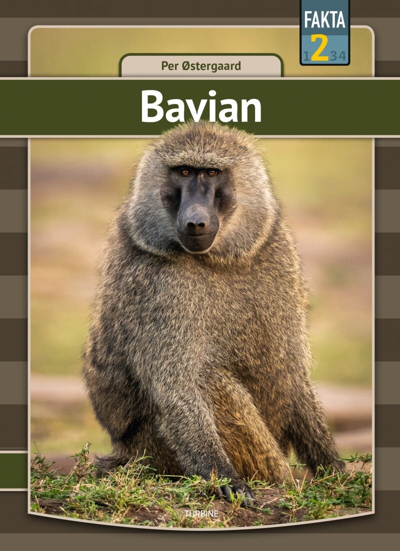 Bavian Per østergaard Bog