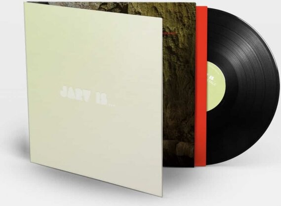 Beyond The Pale   Jarv Is    Vinyl Lp