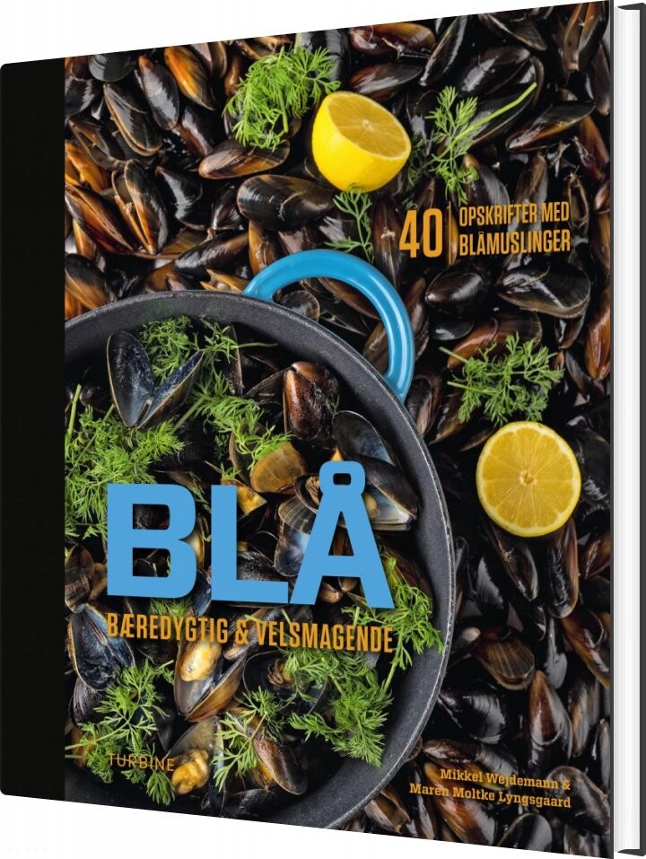 Blå   Mikkel Wejdemann   Bog