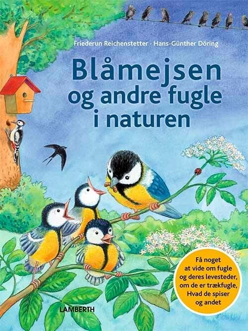 Blåmejsen Og Andre Fugle I Naturen   Friederun Reichenstetter   Bog