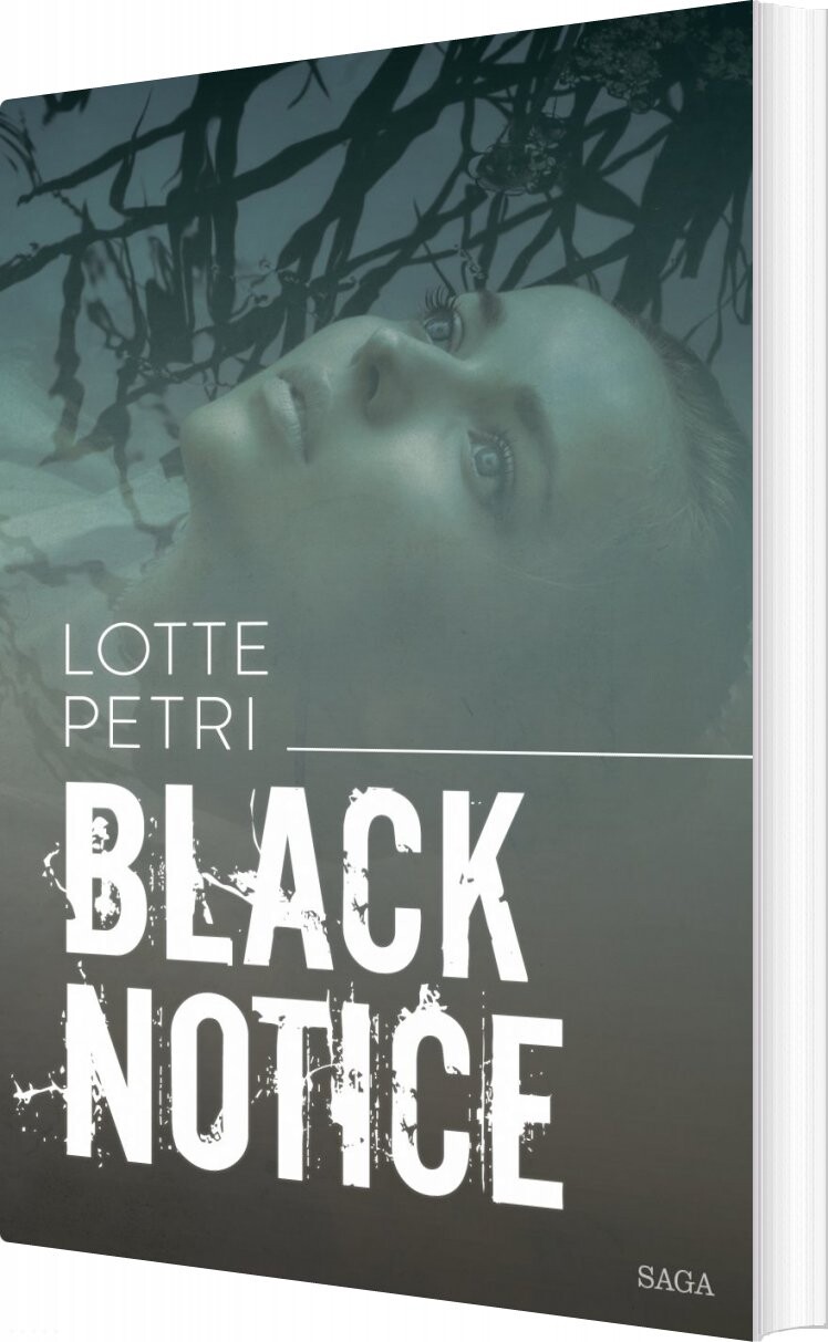Black Notice   Lotte Petri   Bog