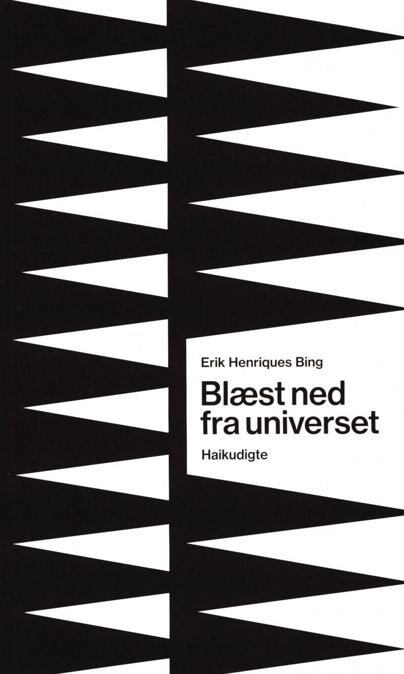 Blæst Ned Fra Universet Erik Henriques Bing Bog