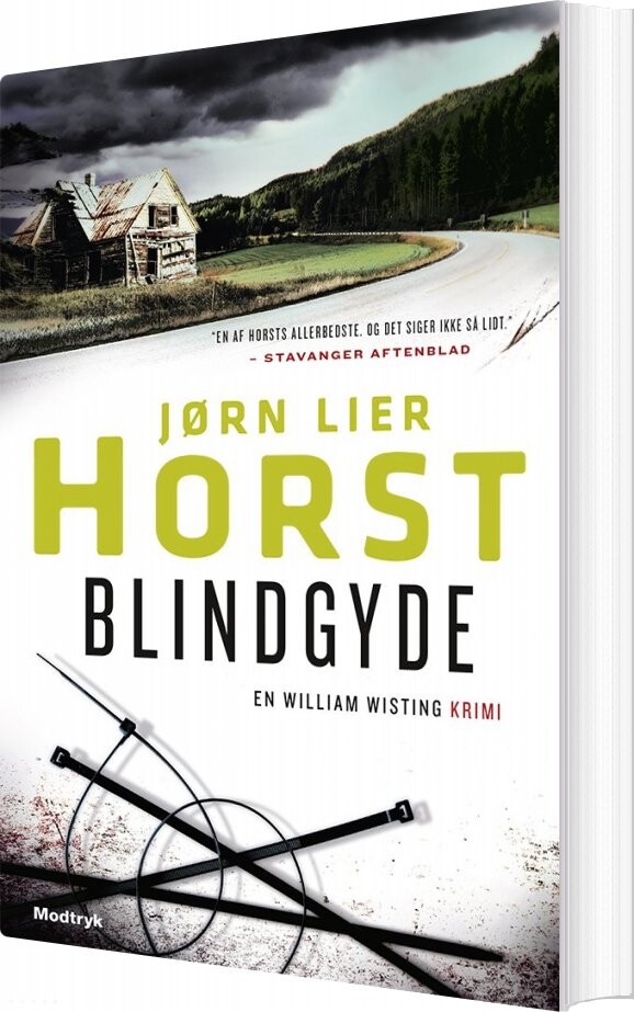 Blindgyde   Jørn Lier Horst   Bog