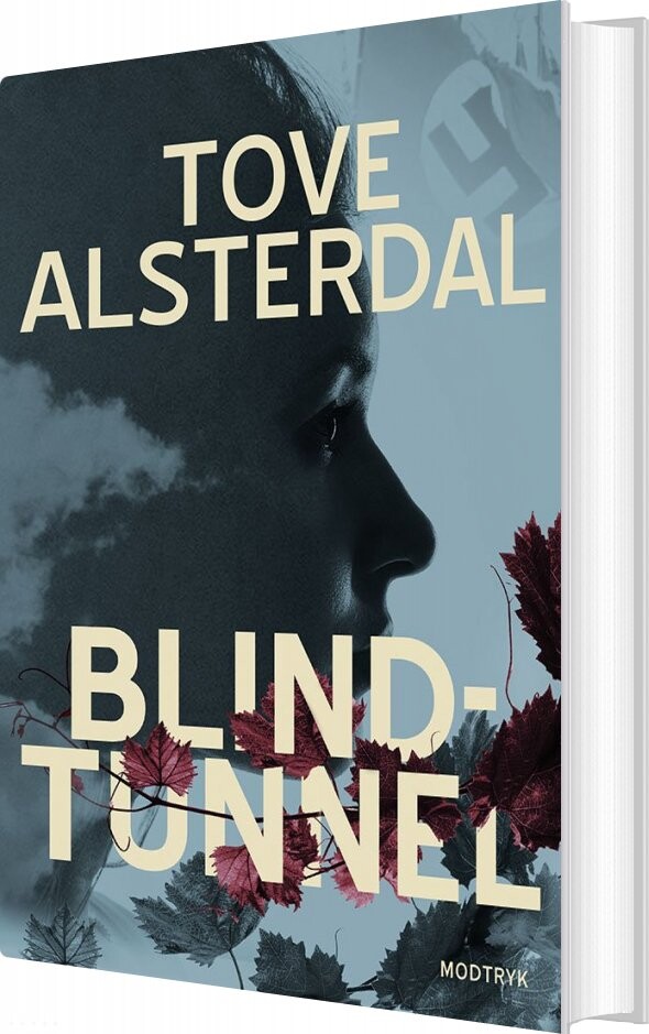Blindtunnel   Tove Alsterdal   Bog