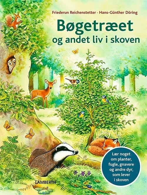 Bøgetræet Og Andet Liv I Skoven   Friederun Reichenstetter   Bog
