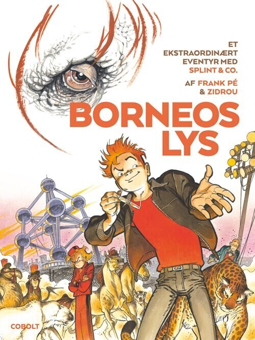 Borneos Lys   Splint   Co   Zidrou   Bog