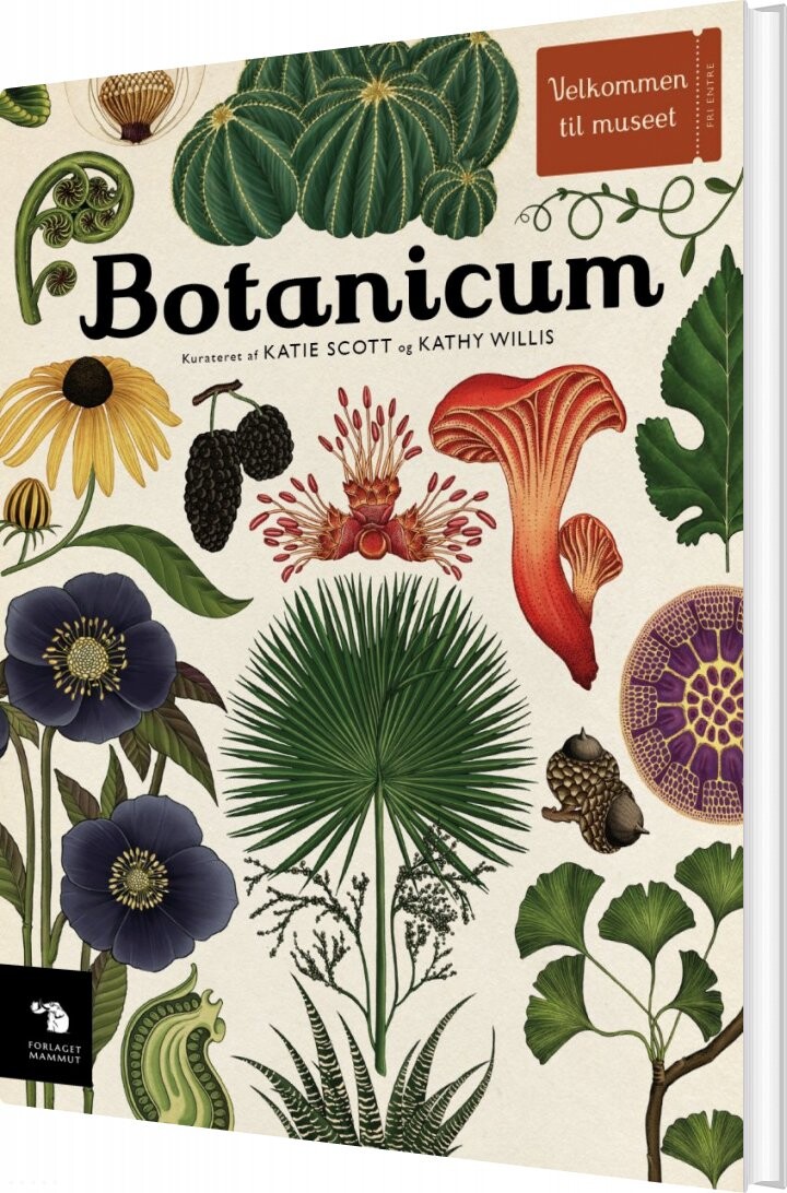 Botanicum   Katie Scott   Bog