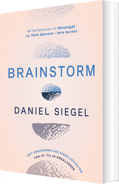 Brainstorm   Daniel Siegel   Bog