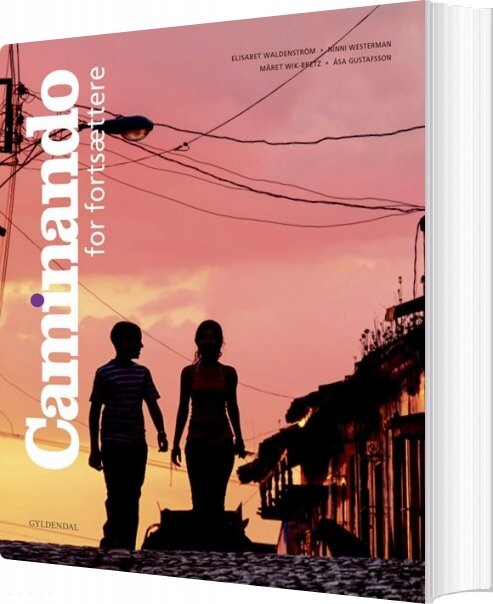 Caminando   Elisabet Waldenstr? M   Bog