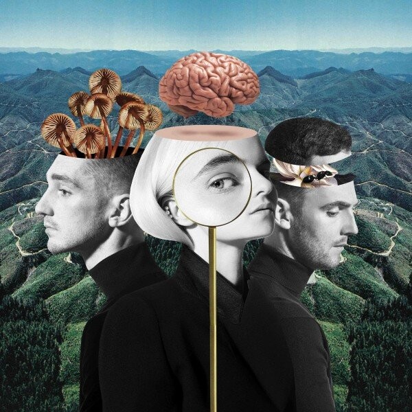 Clean Bandit   What Is Love    Cd