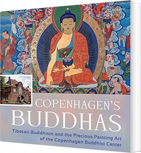 Copenhagen S Buddhas   Meike Herzog   English Book