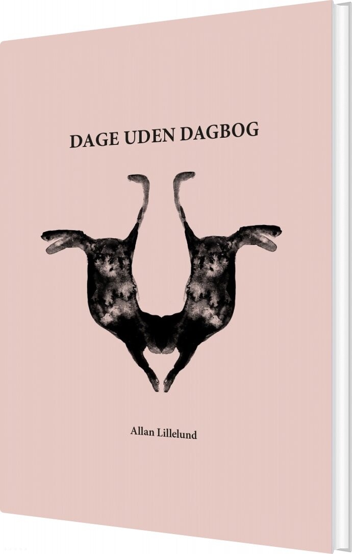 Dage Uden Dagbog   Allan Lillelund   Bog