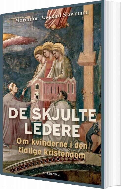 De Skjulte Ledere Marianne Aagaard Skovmand Bog