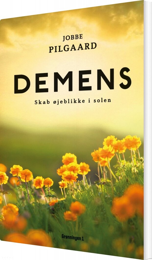 Demens Glem Ikke øjeblikke Af Solskin Jobbe Pilgaard Bog