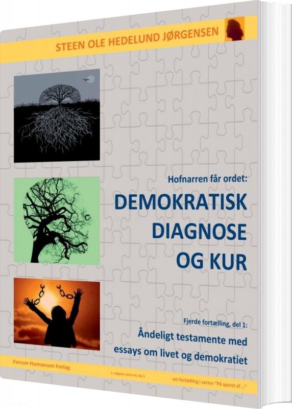 Demokratisk Diagnose   Steen Ole Hedelund Jørgensen   Bog