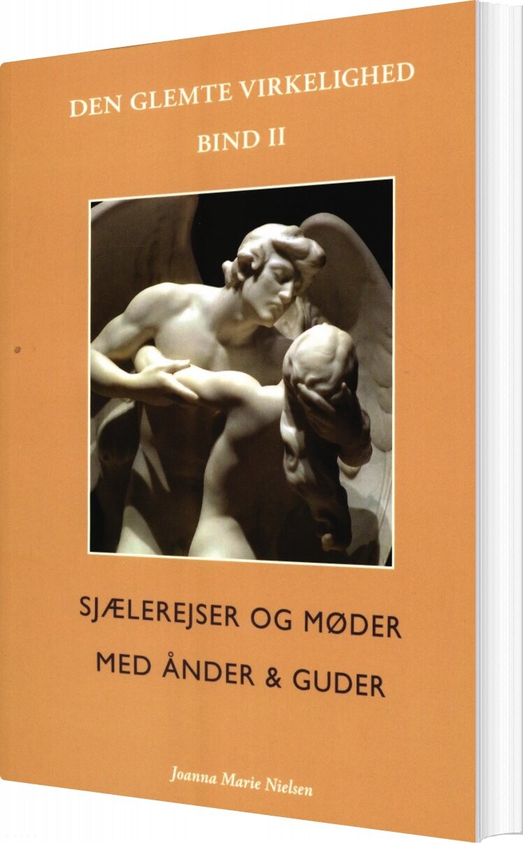 Den Glemte Virkelighed Bind Ii Joanna Marie Nielsen Bog