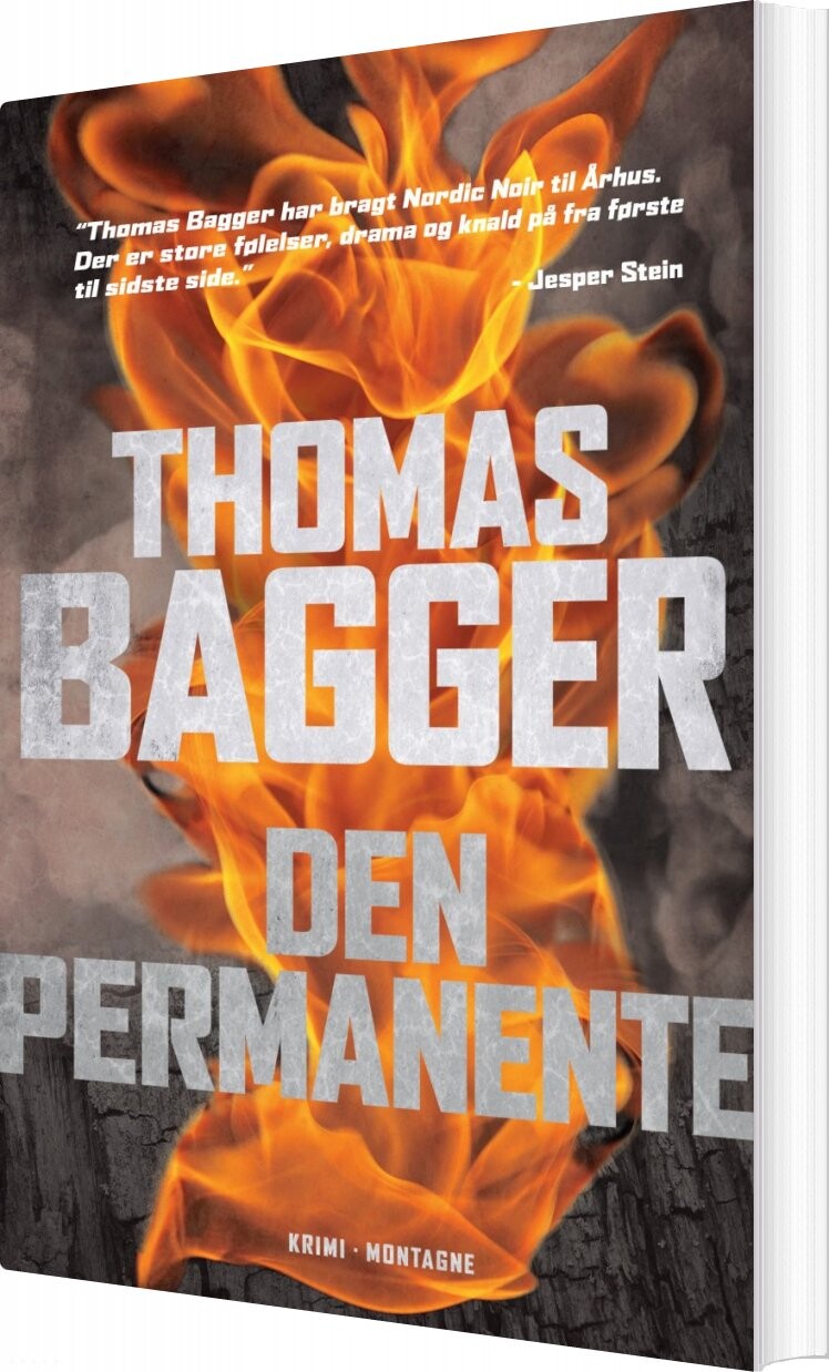 Den Permanente   Thomas Bagger   Bog