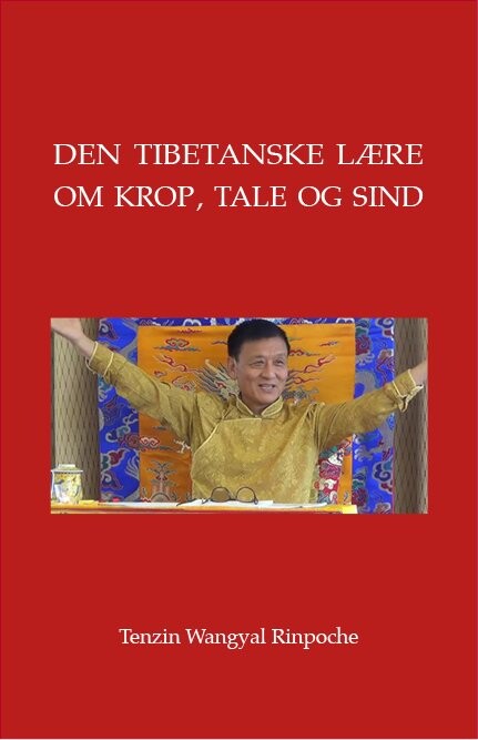 Den Tibetanske Lære Om Krop  Tale Og Sind   Tenzin Wangyal Rinpoche   Bog