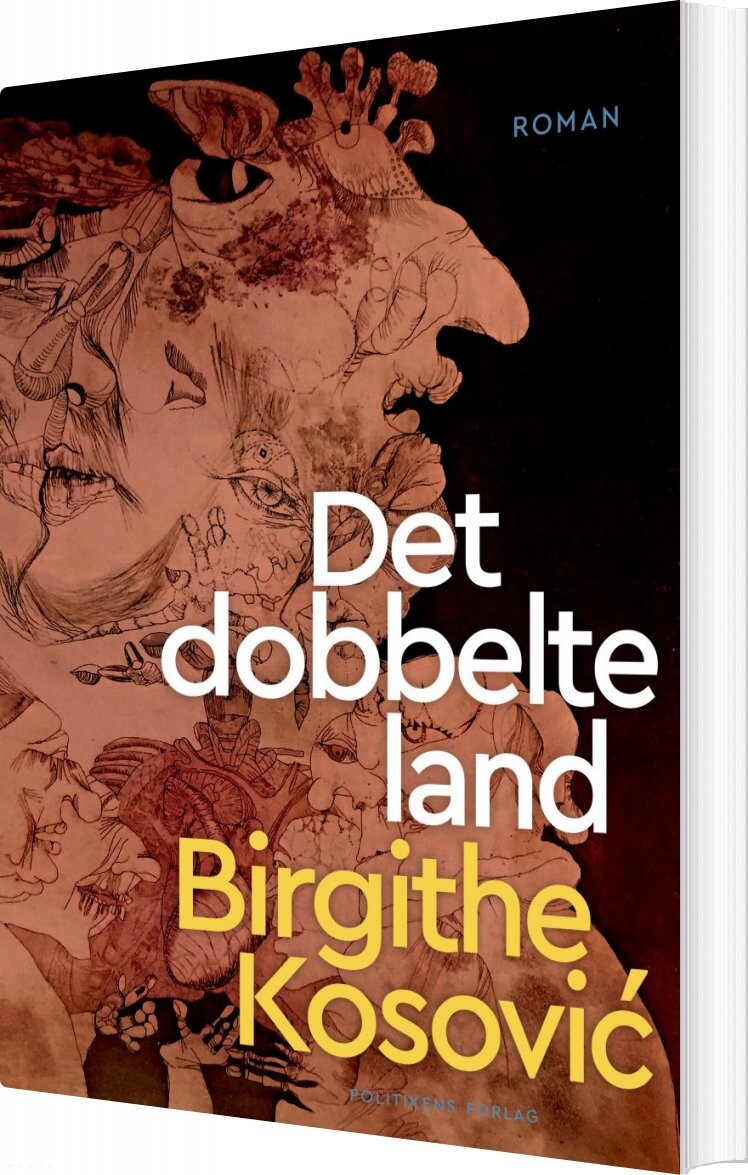 Det Dobbelte Land   Birgithe Kosovic   Bog