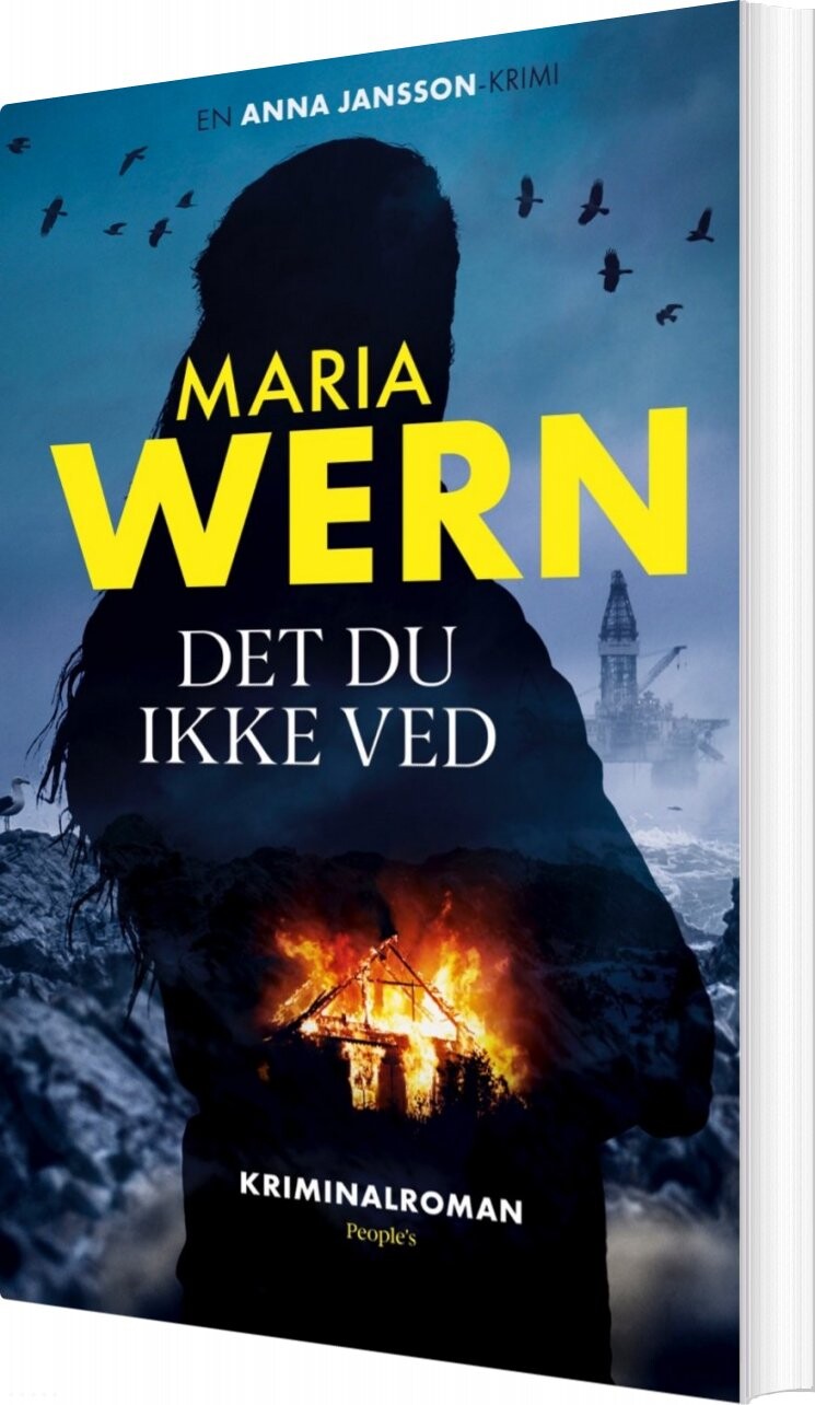 Det Du Ikke Ved Anna Jansson Bog