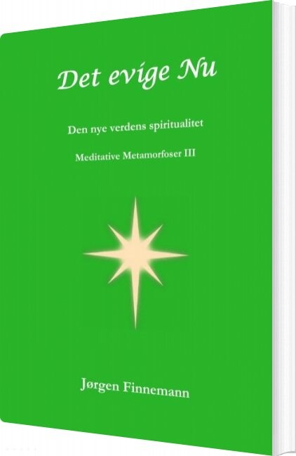 Det Evige Nu   Jørgen Finnemann   Bog