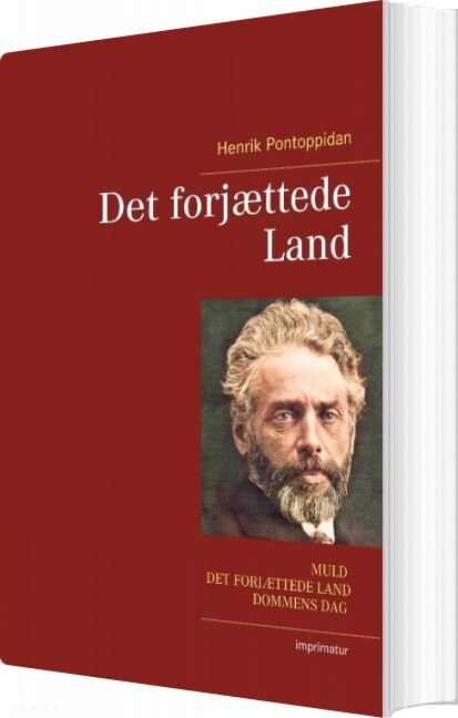 Det Forjættede Land   Henrik Pontoppidan   Bog