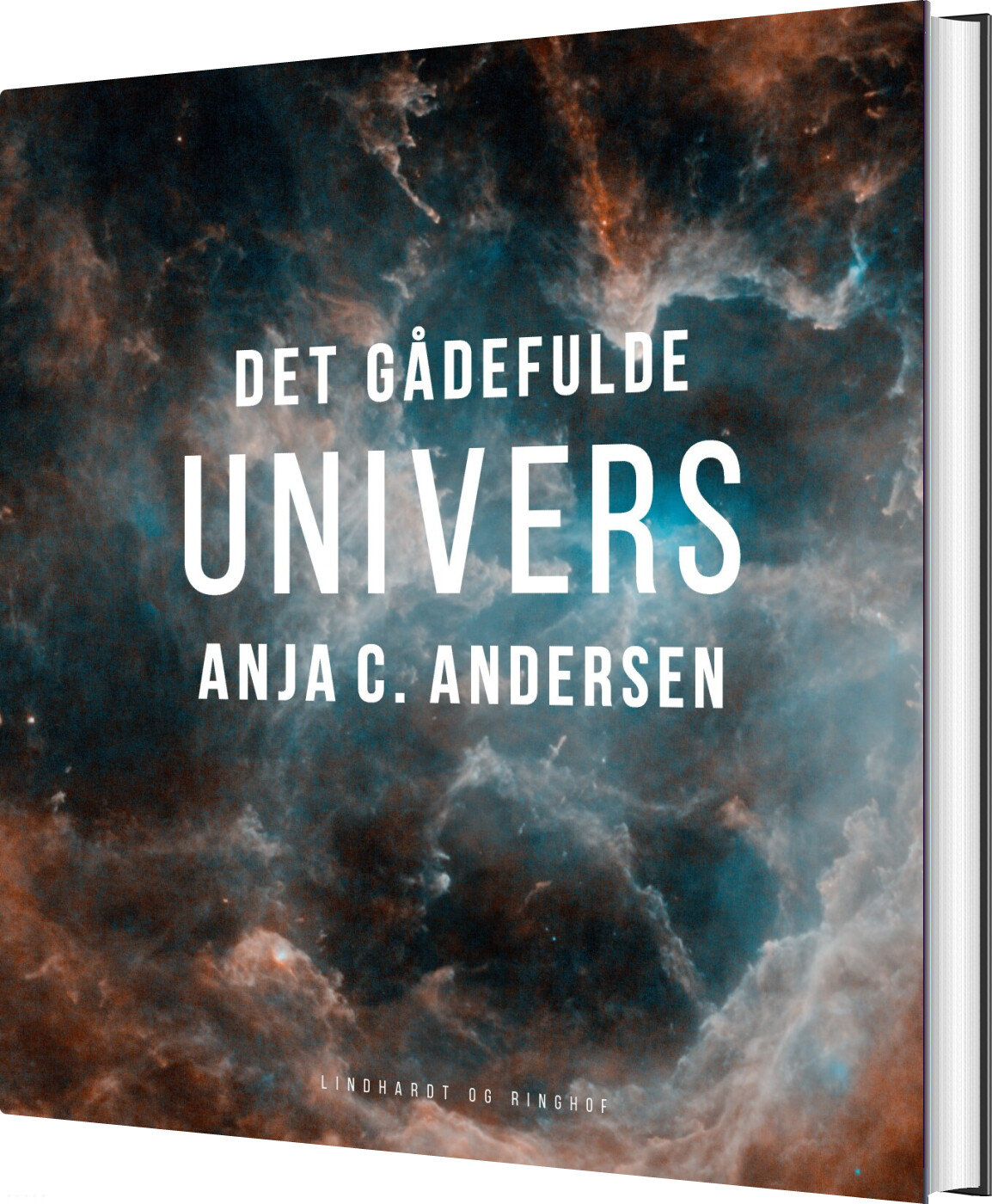 Det Gådefulde Univers Anja C Andersen Bog