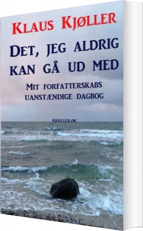 Det  Jeg Aldrig Kan Gå Ud Med   Klaus Kjøller   Bog