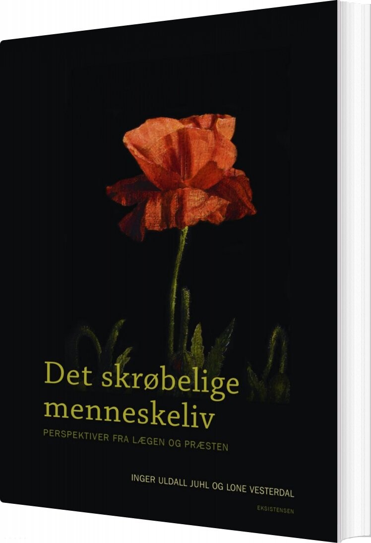 Det Skrøbelige Menneskeliv   Lone Vesterdal   Bog