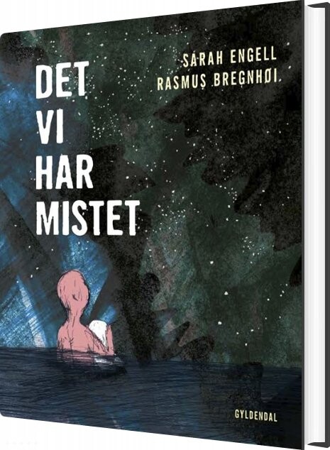 Det Vi Har Mistet Sarah Engell Bog