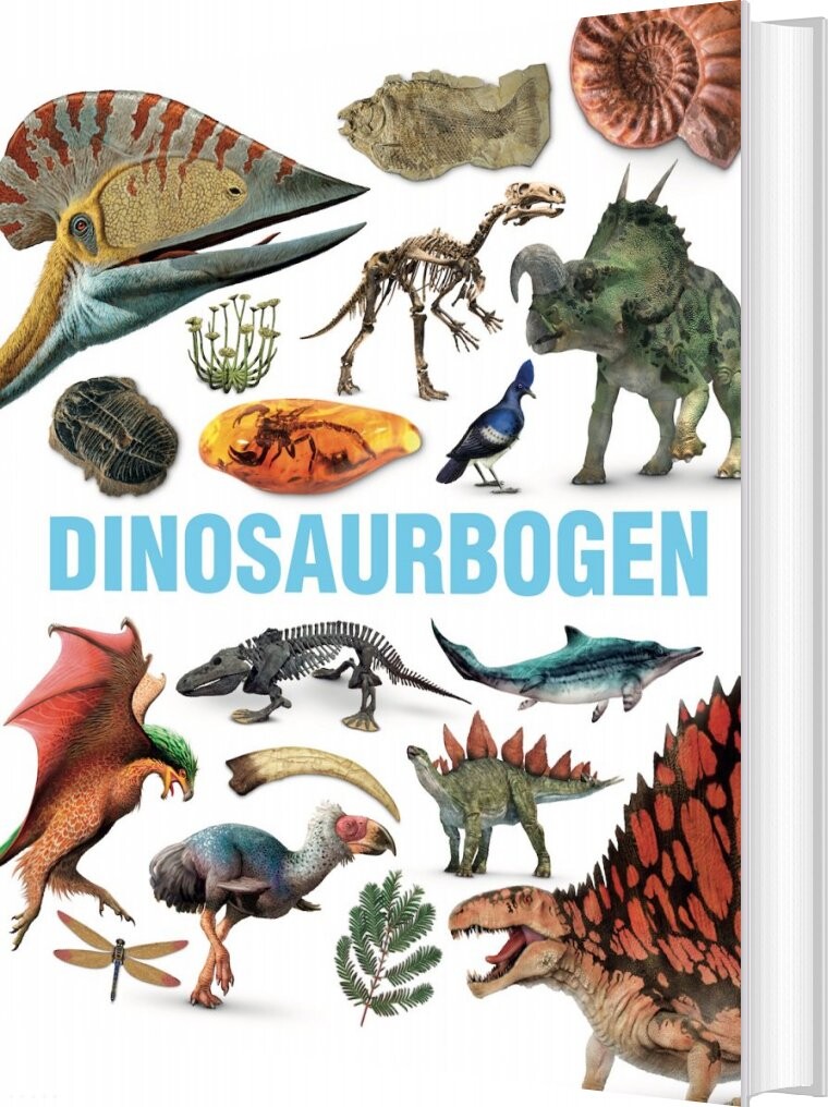 Dinosaurbogen   Bog