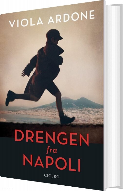 Drengen Fra Napoli   Viola Ardone   Bog