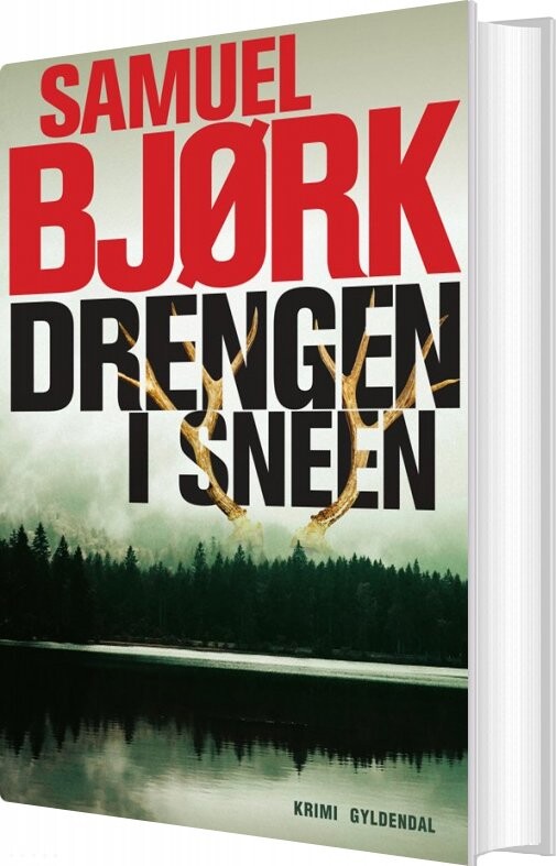 Drengen I Sneen   Samuel Bjørk   Bog