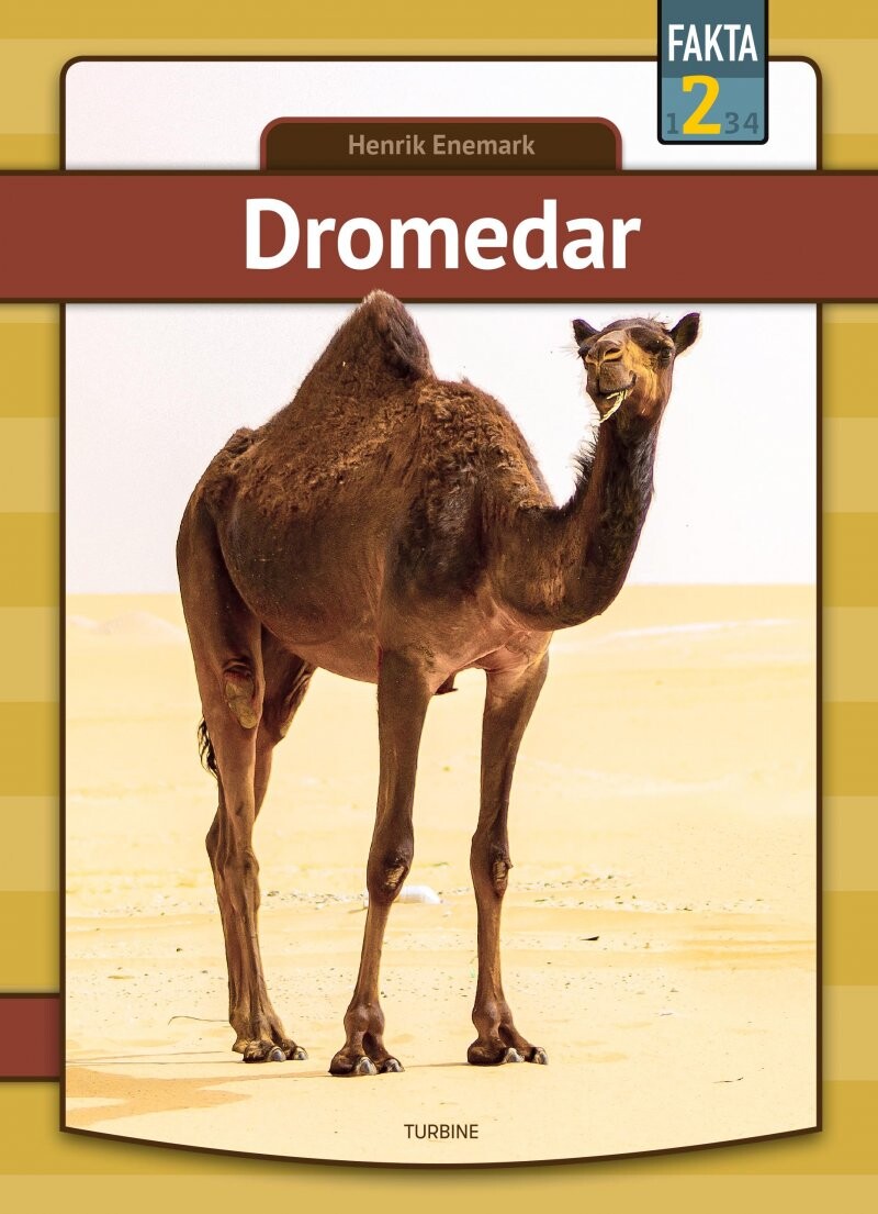 Dromedar   Henrik Enemark   Bog