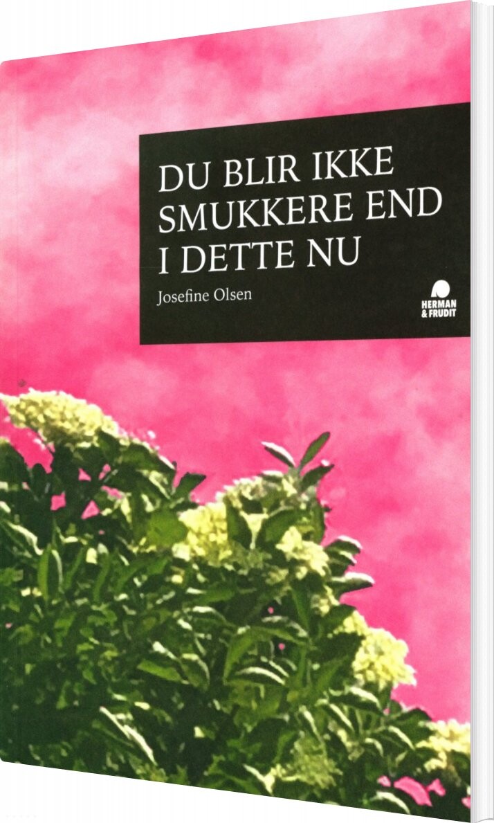 Du Blir Ikke Smukkere End I Dette Nu   Josefine Olsen   Bog