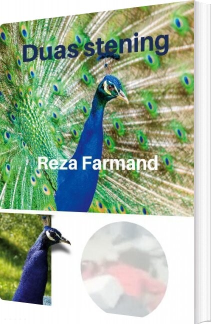 Duas Stening   Reza Farmand   Bog