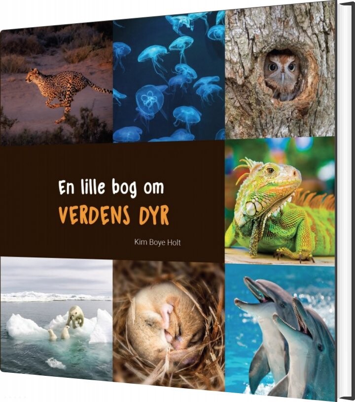 En Lille Bog Om Verdens Dyr   Kim Boye Holt   Bog