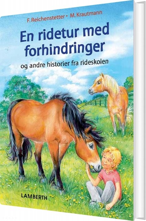 En Ridetur Med Forhindringer   Friederun Reichenstetter   Bog
