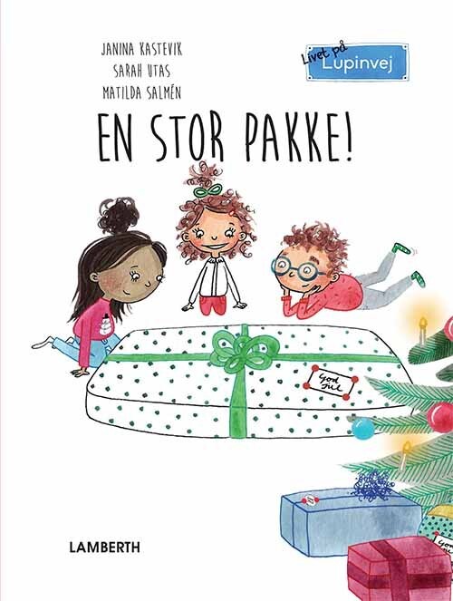 En Stor Pakke    Janina Kastevik   Bog