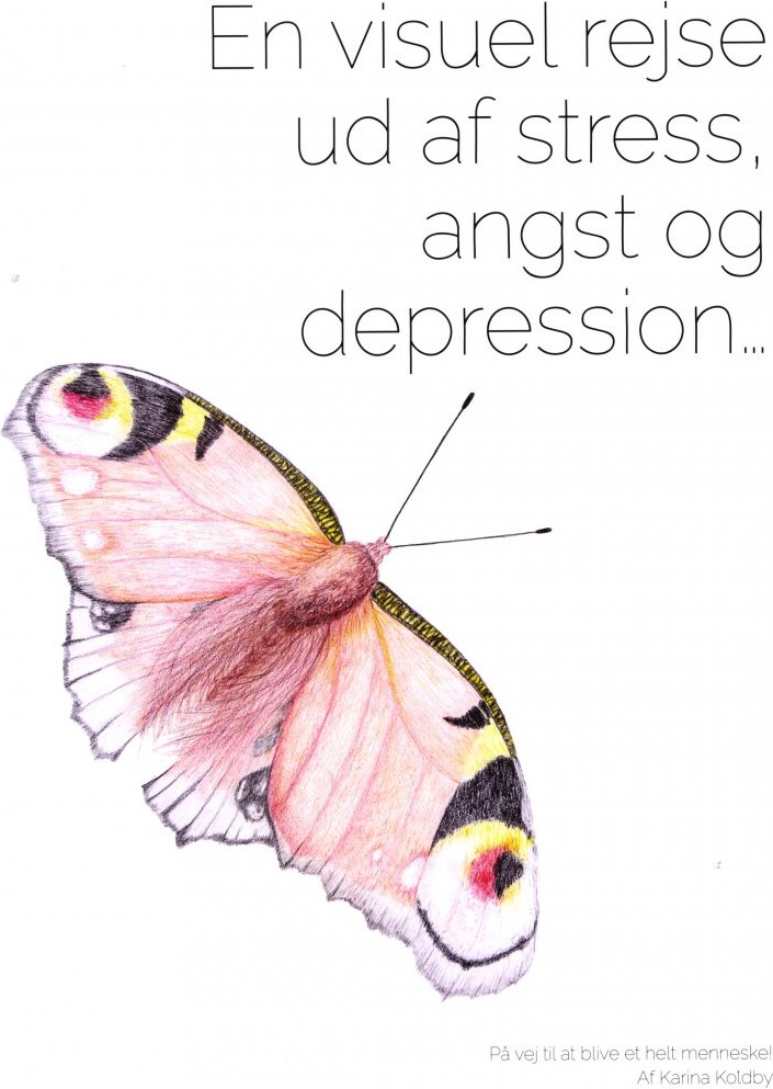 En Visuel Rejse Ud Af Stress Angst Og Depression Karina Koldby Bog